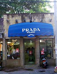 Ȃ񂿂PRADA